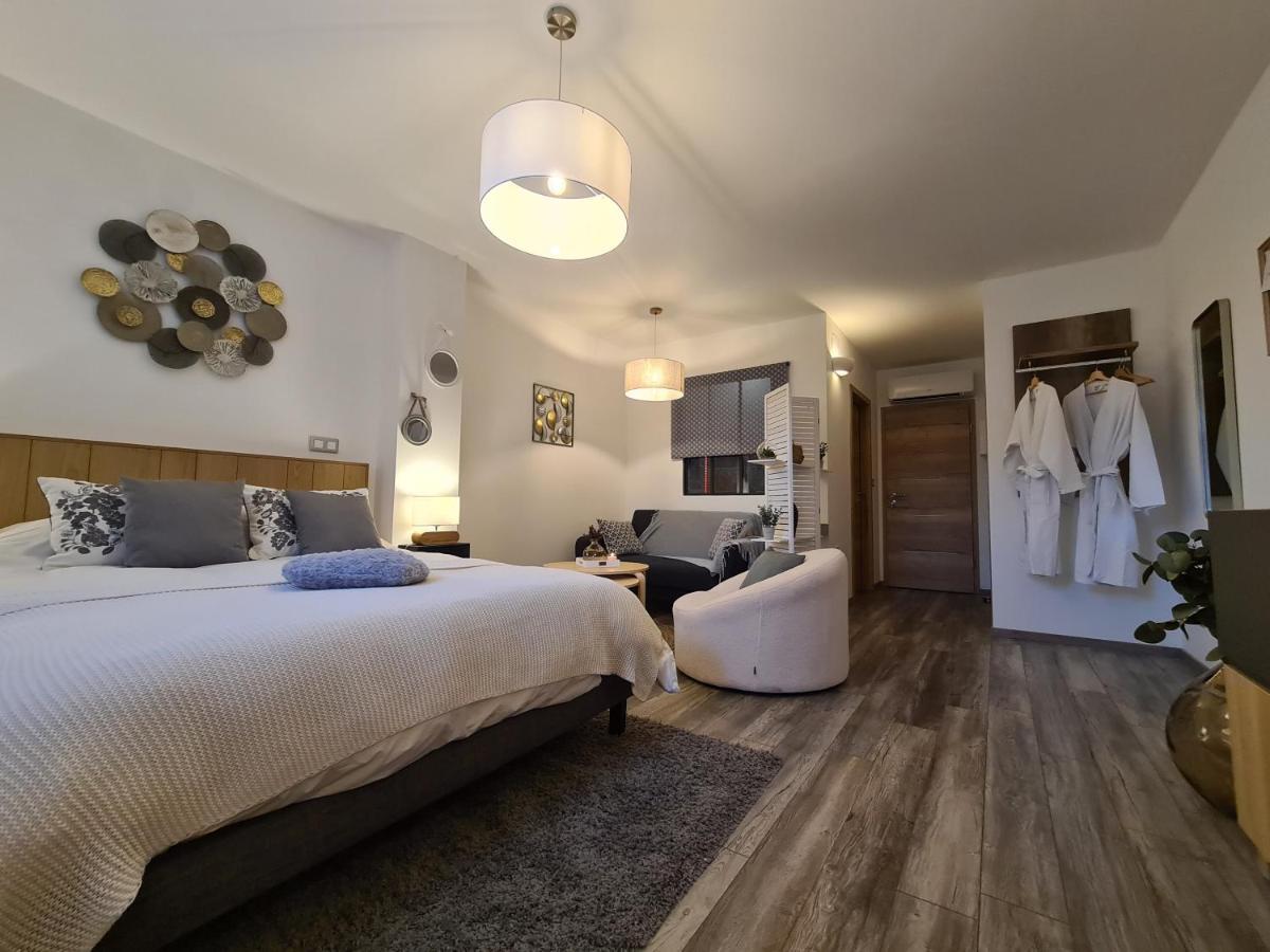 La Suite Melusine - Spa Du Souffle Du Saule Buhl-Lorraine Buitenkant foto