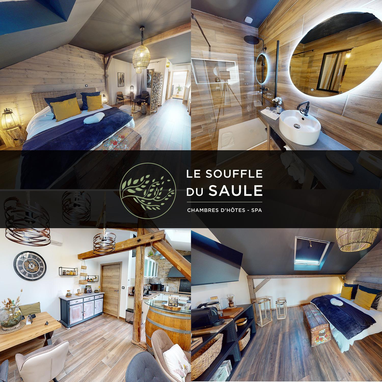 La Suite Melusine - Spa Du Souffle Du Saule Buhl-Lorraine Buitenkant foto